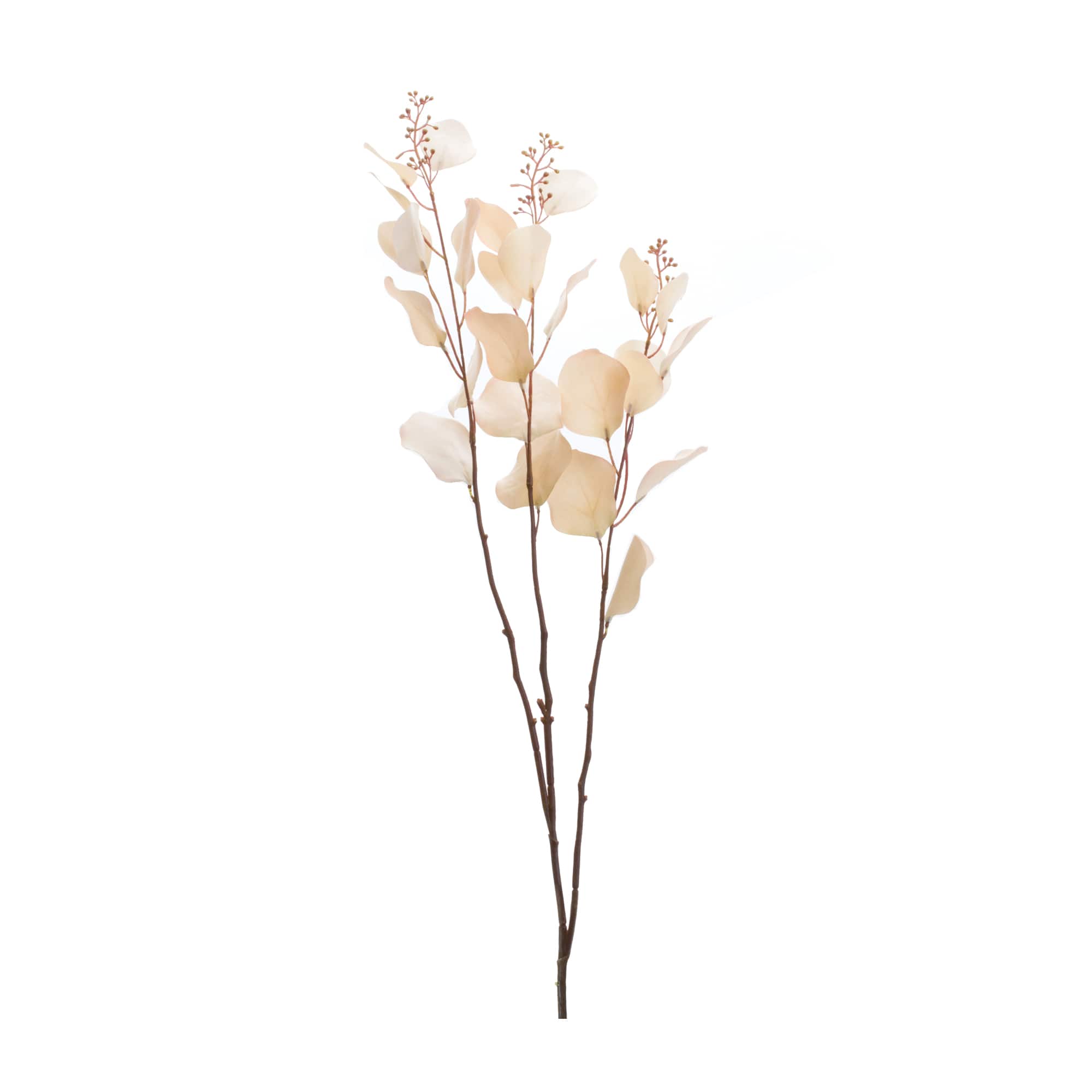 38" Seeded Eucalyptus Stems, 6ct.